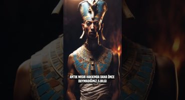 Antik Mısır Hakkında 5 Bilgi! #tarih #bilgi #ilginçbilgiler