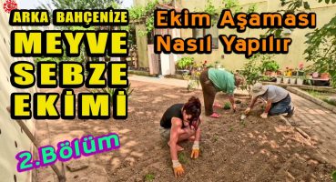 Bahçede Sebze ve Meyve Ekimi 2. Bölüm | Ekim aşaması | Nasıl yapılır, nelere dikkat etmeliyiz?