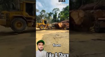 Giant tree unloading process from trailer truck #youtubeshorts #shortvideo #shorts #short Fragman izle
