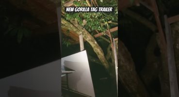 Gorilla tag ￼ Trailer￼ Fragman izle