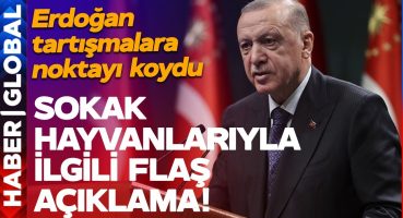SON DAKİKA! Cumhurbaşkanı Erdoğan, “Sokak Hayvanları” Tartışmasına Noktayı Koydu! Bakım