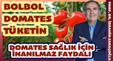 DOMATES YİYEREK SAĞLIĞINIZI KORUYABİLİRSİNİZ. #ibrahimsaraçoğlu #domates #kalpsağlığı #sağlıklıyaşam Bakım