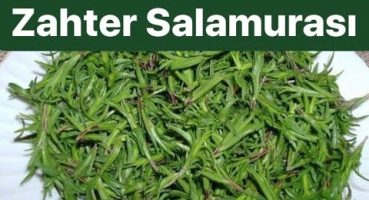 💯 Orjinal Zahter Salamurası Tarifi Dağ Kekiği Salamura Nasıl Yapılır | Kekik Turşusu | Salted Thyme
