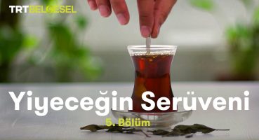Yiyeceğin Serüveni | Çay | TRT Belgesel