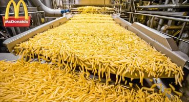 McDonald’s Patates Kızartmaları İşte Böyle Yapılıyor – Yemek Üretim Süreçleri