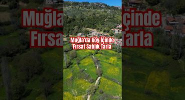 Muğla Menteşe ÇatakBağyaka Köy İçinde Satılık Tarla | #muğla #gayrimenkul #arsa #arazi #tarla Satılık Arsa