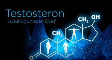Testosteron Düşüklüğü Neden Olur Nasıl Tedavi Edilir? – Prof. Dr. Ahmet Hakan Haliloğlu