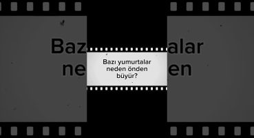 Sizin için uzmanına sordum: neden bazı yumurtalar daha hızlı büyür?