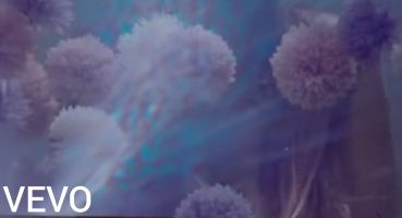 AliaxWolfs – trailer cover (official music video) Fragman izle