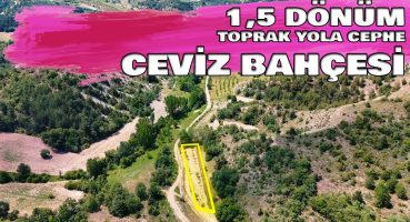 Bilecik Gölpazarı Türkmen Köyünde 1.483 m² Satılık Ceviz Bahçesi Arazi Yatırım Fırsatı (çek-057) Satılık Arsa