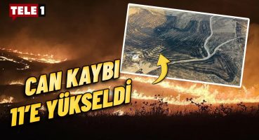 Diyarbakır’da yangın nasıl çıktı? İnan Demirel kahreden yangındaki son durumu aktardı