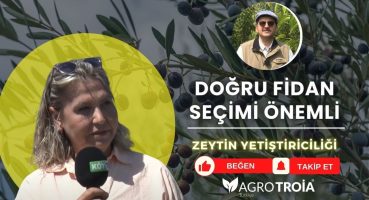🟢  Zeytin Yetiştiriciliği – İzmir | TARIMDA BAŞARI Bakım