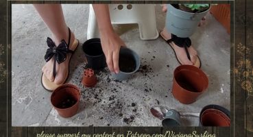Sexy lady plants flowers in pots/ Hot brunette gardens with passion Bakım