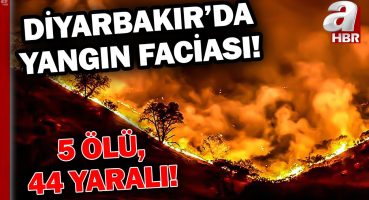 Diyarbakır ve Mardin Arasında Anız Yangını! Ölü Ve Yaralılar Var | A Haber