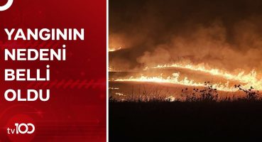 Diyarbakır ve Mardin’deki Anız Yangını Nasıl Çıktı? | TV100 Haber