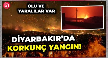 SON DURUM! Ciğerimiz yanıyor: Diyarbakır ve Mardin’de çok büyük yangın!
