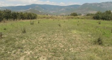 Sakarya Pamukova Yenice Mahallesi Satılık Arsa 10.500 m2 Satılık Arsa