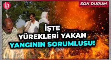 Diyarbakır ve Mardin’deki yangınları yürek yaktı: Köyler küle döndü… İşte dehşetin baş sorumlusu!