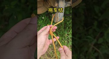Trailer knot, a must-have skill for drivers #knot Fragman izle