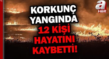 Diyarbakır ve Mardin Arasında Anız Yangını! Can Kaybı 12’ye Yükseldi | A Haber