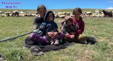 Erzurum yaylaları 500’ün üzerinde göçer aile ile 70 bin küçükbaşı ağırlıyor Bakım