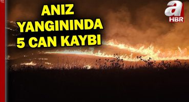 Diyarbakır ve Mardin’de çıkan anız yangınında 5 kişi hayatını kaybetti | A Haber