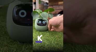 💁🏻‍♀️Smart Plant Ivy, akıllı ev teknolojisi ile bitki bakımı kolaylaştıran bir üründür. Bakım