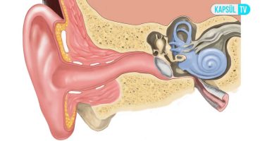 Kulak Çınlaması Neden Olur?