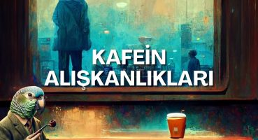 Nörobilim 101 – Kafein Alışkanlıkları Bakım