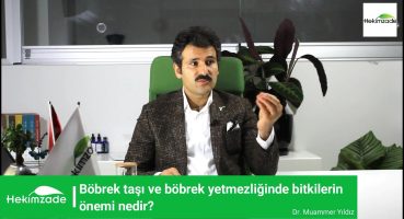 Böbrek taşı ve böbrek yetmezliğinde bitkilerin önemi nedir? Bakım