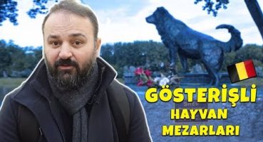 İlginç ve Gösterişli Hayvan Mezarları (Belçika-2018)