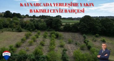 KAYNARCA SATILIK ARAZİ | KAYNARCA SATILIK CEVİZ VE FINDIK BAHÇESİ | KAYNARCA SATILIK TARLA Satılık Arsa