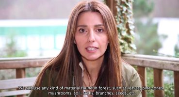ORMAN VE EĞİTİM / FORESTS AND EDUCATION Bakım