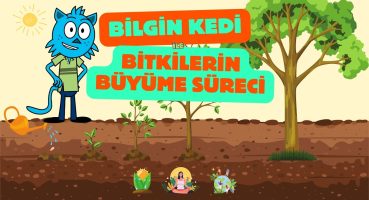 Bilgin Kedi İle Bitkilerin Büyüme Süreci  | Çocuklar İçin Eğitici Video Bakım