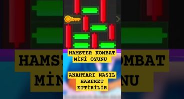 Hamster kombat mini oyunu yaptık | Nasıl yapılır #kombat #keşfet #hamster #minioyun #anahtar #kombo