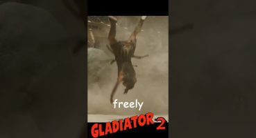 Gladiator 2 trailer- Win Or Die #gladiator2 #gladiator #trailerreaction Fragman izle