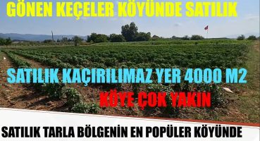 Gönen Keçeler köyünde Satılık Tarla 4000m2 Köye 200 metre mesafede 2.200.000 TL Satılık Arsa