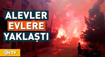 İzmir’in Buca İlçesinde Başlayan Orman Yangını ile Mücadele Sürüyor! | NTV