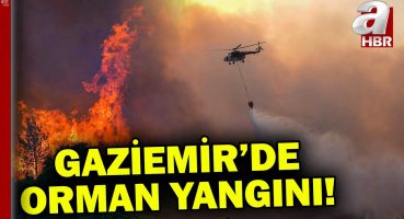 İzmir Gaziemir’de çıkan orman yangınına havadan ve karadan müdahale! | A Haber