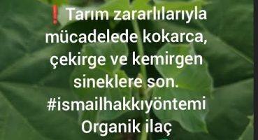 ❗TARIM ZARARLILARI #kokarca #çekirge #bit  #sinek #organik ilaçla son. #ismailhakkıyöntemi 🇹🇷 Bakım