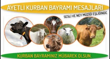 Ayetli Kurban Bayramı Mesajları 2022, (EN YENİ-EN GÜZEL SESLİ KURBAN BAYRAMI TEBRİK MESAJLARI)