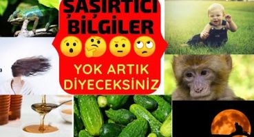 ŞAŞIRTICI BİLGİLER VE DUYULMAMIŞ GERÇEKLER! BU KADARINA DA PES DİYECEKSİNİZ