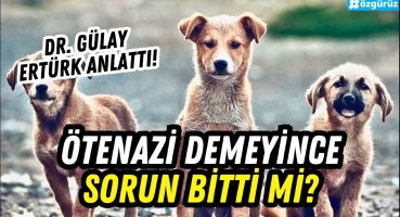 ‘Ötenazi’ demeyince sorun çözülüyor mu? Dr. Gülay Ertürk, Erk Acarer ve Figen Çalıkuşu’na anlattı Bakım