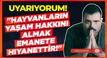 BU ÇOK BÜYÜK BİR SIR! Onları Görmezsen, Bir Gün Seni de Görmezler… “Hayvanlar Daimi Zikirdedir!” Magazin Haberleri