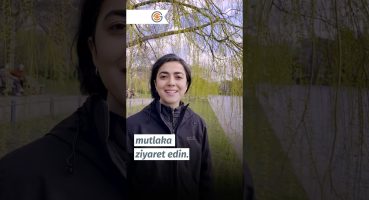 Almanya’da aile birleşimi hakkında merak ettiğiniz her şey