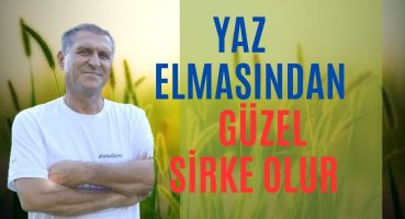 DOĞAL ELMA SİRKESİ NASIL YAPILIR  ORGANİK SİRKE TARİFİ