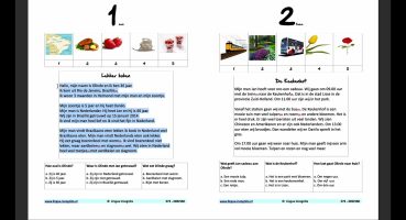 2023-2024 HOLLANDA UYUM SINAVINDA ÇIKMIŞ ÖRNEK PARAGRAF SORULARI (Leesvaardigheid)