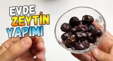 Evde Siyah Zeytin Nasıl Yapılır Bakım