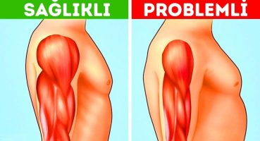 VÜCUT HAKKINDA MUTLAKA BİLMENİZ GEREKEN 30 GERÇEK