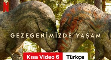 Gezegenimizde Yaşam (Sezon 1 Kısa Video 6) | Türkçe fragman | Netflix Fragman izle